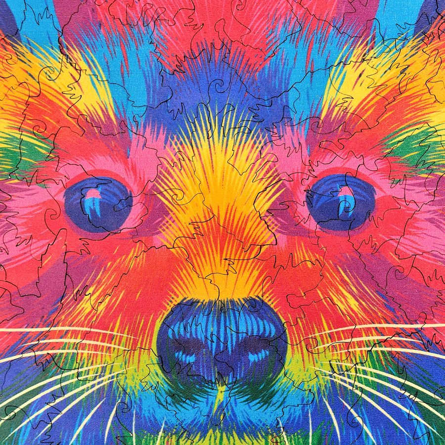 WOODEN JIGSAW PUZZLE COLORFUL RACOON